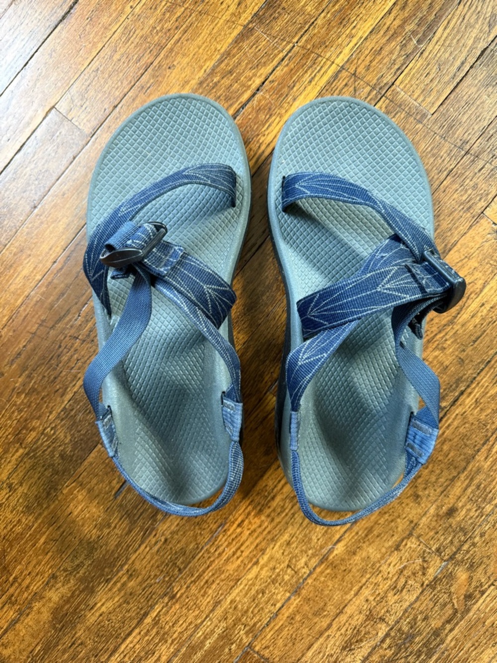 Chaco Men's Z/Cloud Active Sandal in Aero Blue
